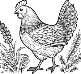 Chicken lineart coloring book illustration