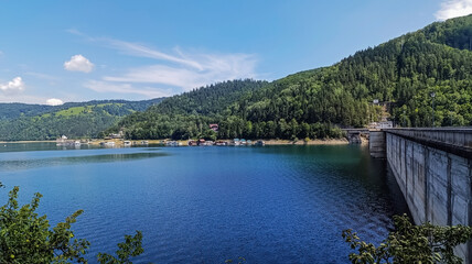 Landscapes - Forest - Europe, Romania