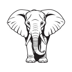 line art Elephant on white background. sketch style. Vector graphic icon animal.