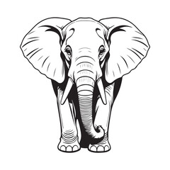 line art Elephant on white background. sketch style. Vector graphic icon animal.