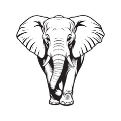 line art Elephant on white background. sketch style. Vector graphic icon animal.