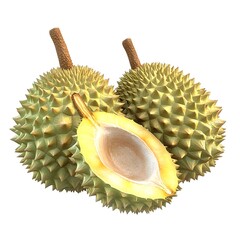 watercolor of a whole durian fruit with its distinctive spiky exterior on a clean white background  This depiction highlights the unique tropical produce in a modern minimalist style