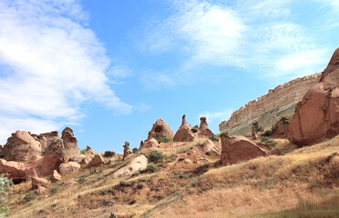 Fototapeta premium Beautiful landscape with famous Fairy Chimney or Multihead stone mushrooms in Pasabag Valley, Cappadocia, Anatolia, Turkey
