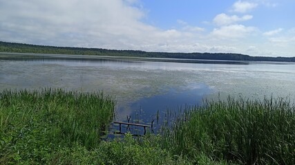 Fishing on the shore of a lake overgrown with reeds