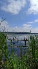 Fishing on the shore of a lake overgrown with reeds