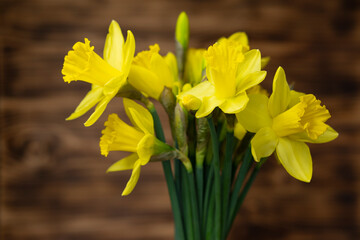 Yellow narcissus and daffodil on rustic wooden background, floral nature photography, Easter wallpaper