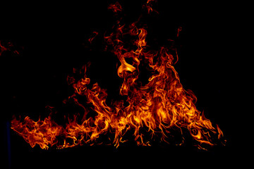 Obraz premium Fire flame. Burn lights on a black background.
