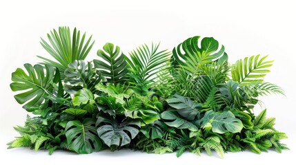 Lush green tropical plants on white background, dense foliage, large leaves, intricate textures, rich green shades, macro lens, morning, hyper-realistic, natural lighting.