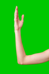 Woman's Right Arm Raised Against a Green Screen Background