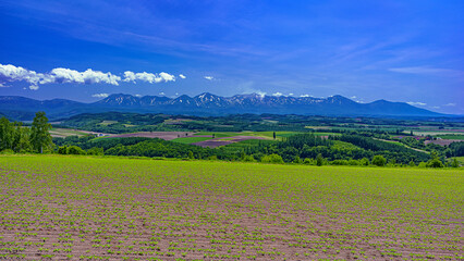 北海道・旭川市 初夏の丘と十勝岳連峰の風景