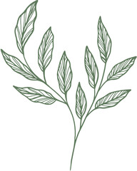 Hand Drawn Doodle Leaves Aesthetic