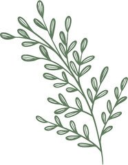 Obraz premium Hand Drawn Doodle Leaves Aesthetic