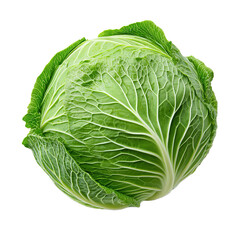 Obraz premium cabbage isolated on transparent background, side view