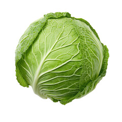 Obraz premium cabbage isolated on transparent background, side view