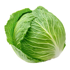 Obraz premium cabbage isolated on transparent background, side view