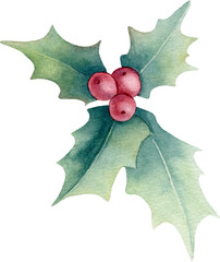 Watercolor holly berry. Hand drawn botanical elements isolated on white.
