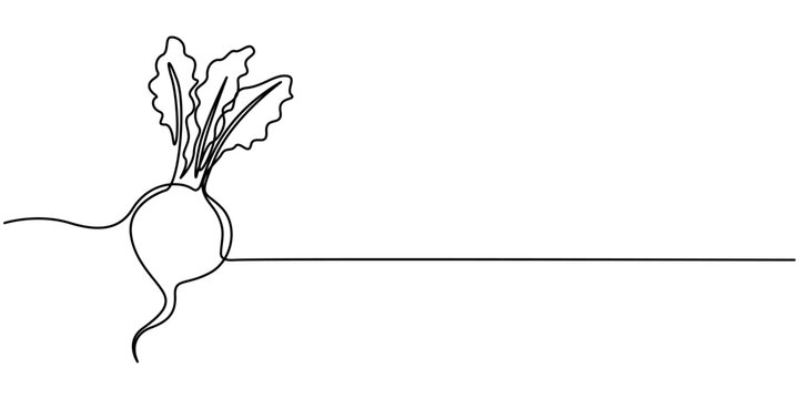 Beetroot in continuous line art drawing style. Garden beet black linear sketch isolated on white background. Vector illustration, Beetroot with Leaves. Woodcut radish or beets. beet vegetable cartoon