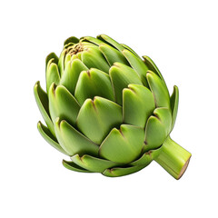Fototapeta premium artichokes . horizontal