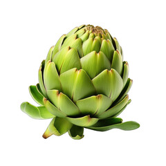 Fototapeta premium artichokes . horizontal