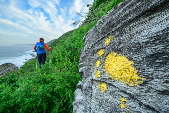 Otter mark on rock with woman hiking on trial in Tsitsikamma Section, Garden Route National Park, Eastern Cape, South Africa