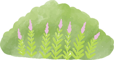 Bush watrecolor illustration