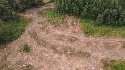 Aerial view of forest and deforested land showcasing environmental impact