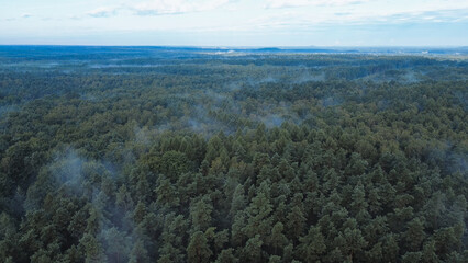 Drone shot of foggy forest under blue sky