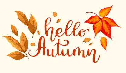 Hello autumn. An inscription with bright autumn leaves. Vector illustration. Lettering. © Юлия Викленко