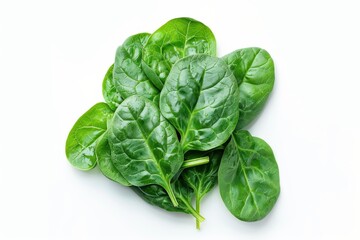 Fototapeta premium Closeup of isolated fresh spinach on white background