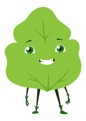 Green leaves character. Cute happy funny smiling leaf character. illustration isolated on white background