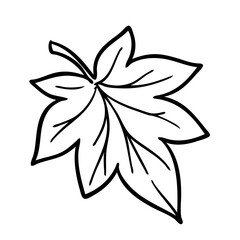 Linear drawing maple leaf object