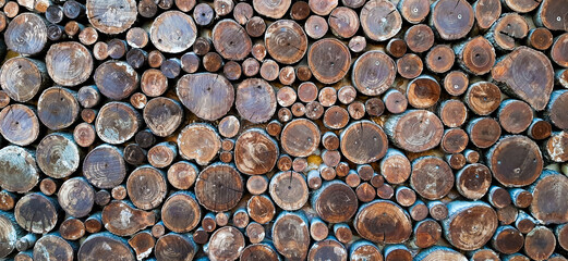 Wall of old wooden logs with cracked ends. Beautiful pattern of annual rings on the cut of the tree. Rural life