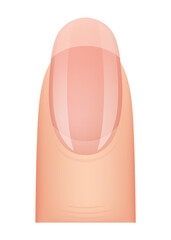 Nail shape manicure. Type of fingernail extension. Professional manicure template. Salon fashion type trend. cartoon nail art on white background