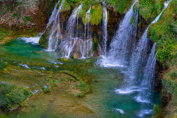 Obraz premium Waterfalls in the forest flowing into lakes. Tourists visit famous Plitvice park in Croatia. Mountain streams with clear water. Waterfalls of Plitvice Lakes on a summer day.