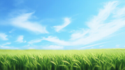 Fototapeta premium Wide grassy field under a bright blue sky with wispy clouds. The scene is calm and open, representing freedom, nature, and space with copy space for text.