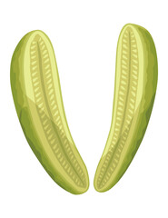 Homemade pickled cucumber. Clip-art of marinated food for packaging, label, menu, signboard or showcase. Fermented veggies, crunch gherkin with salt. Healthy vegetarian food
