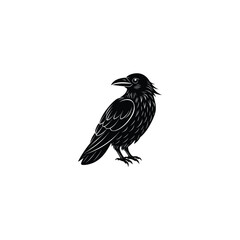 Rook Bird icon. Black birds silhouette on branch. Vector isolated on white