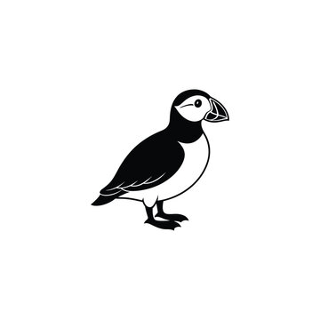 recommend clip art: Atlantic Puffin or Common Puffin illustration