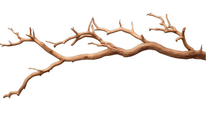 Fototapeta premium stems hedera helix ivy liana grapes vine branches tropical creeper