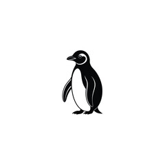 penguin isolated on white background