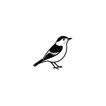 recommend clip art: nuthatch on a branch of a tree