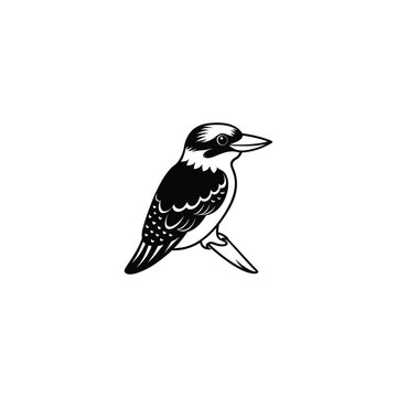 recommend clip art: Vector hand drawn doodle sketch kookaburra bird isolated on white background