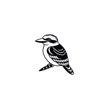 recommend clip art: Vector hand drawn doodle sketch kookaburra bird isolated on white background