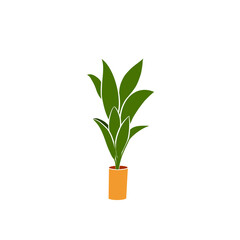 Green tropical flower in  orange vases, isolated on a white background. Flat vector illustration.