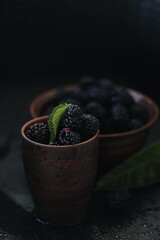 black and juicy blackberry berry