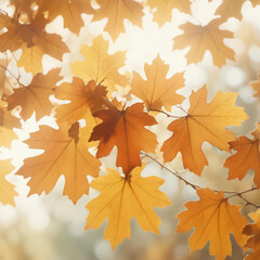 Obraz premium Beautiful autumn foliage background with brunches and falling tree leaves at sky with bokeh