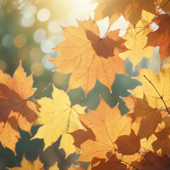 Fototapeta premium Beautiful autumn foliage background with brunches and falling tree leaves at sky with bokeh