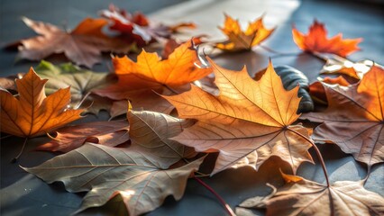 Fototapeta premium Vibrant autumn leaves close-up showcasing rich palette of fall colors