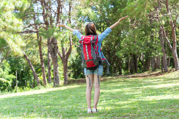 Woman Hikers Admiring and Forest walk and camping adventures