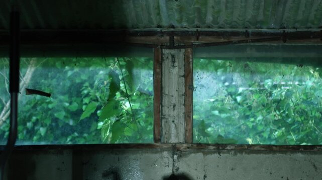 Old dirty basement garage window 